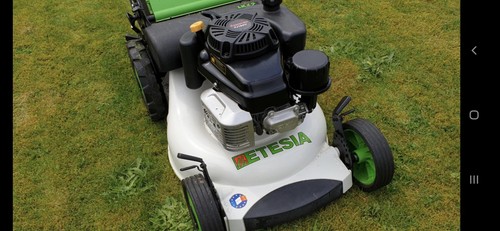 Etesia pro rotary - etesia, lawnmower