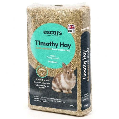 Timothy hay guinea - hay,