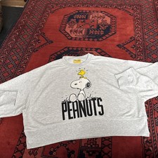 Snoopy Woodstock Peanuts Grey