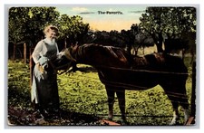 Winsted CT The Favorite Woman