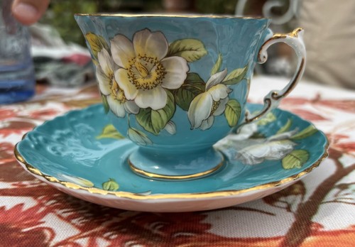 Aynsley fine bone - aynsley, teacup