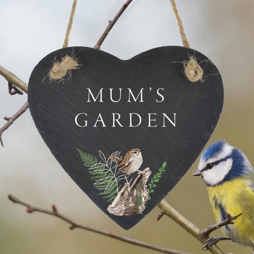Mum garden wren bird - garden,
