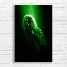 Majestic Owl Silhouette Green