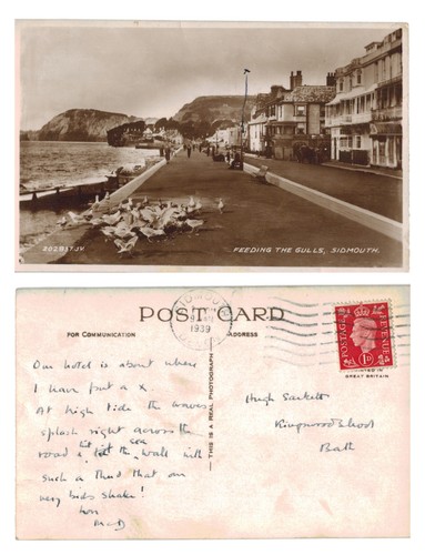 Vintage postcard feeding the - vintage,