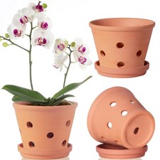 6" Terracotta Orchid Pots with