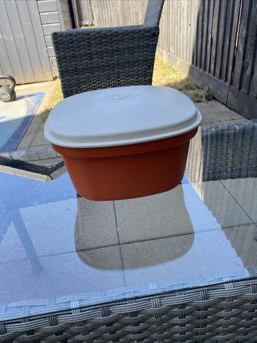 Vintage tupperware steamer - vintage,