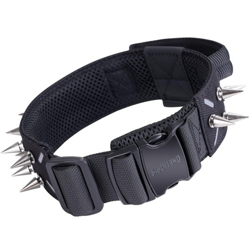 Spiked dog collar adjustable - collar,