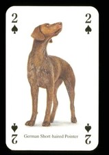 1 x playing card of the dog German Short-haired Pointer : 2 of Spades ZU 13