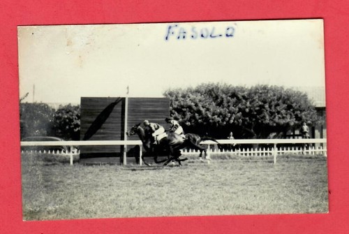 Horse racing fasold - horse, racing,