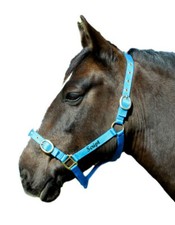 Personalised Embroidered Headcollars All Size & Colours with Script Font