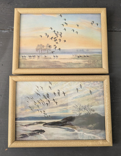 Pair vintage peter scott small - vintage,