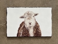 Herdwick Sheep Slate Placemat