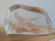 Vintage Clear Glass Flying