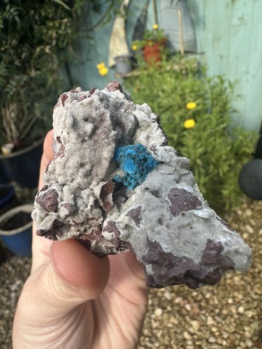 Large cavansite pentagonite - large,