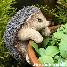 HEDGEHOG POT HANGER novelty