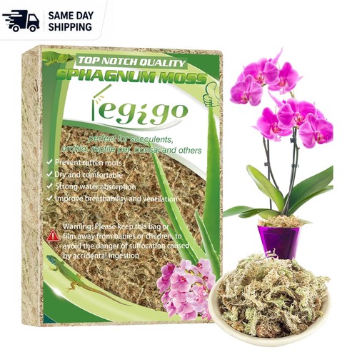 Natural sphagnum moss - natural,