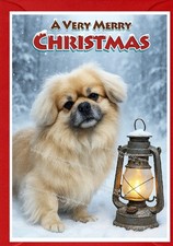 Tibetan Spaniel Dog A6 (4" x