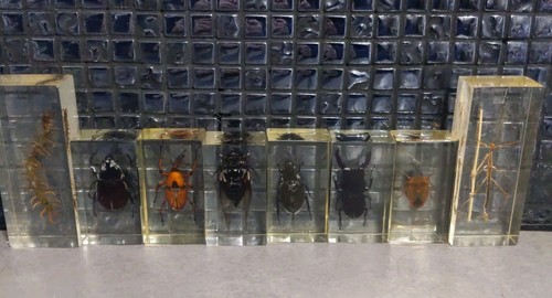 Real life joblot resin - real,