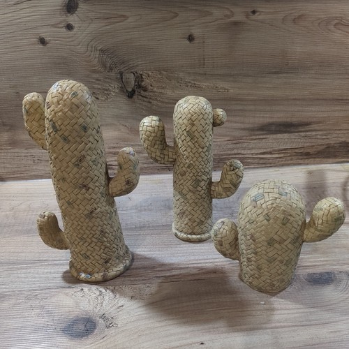 Trio cactus cacti - trio, ceramic