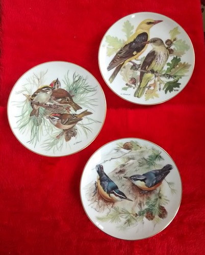 Wwf collector bird - bird, plates