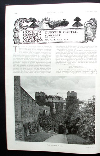 Dunster castle somerset - castle,,