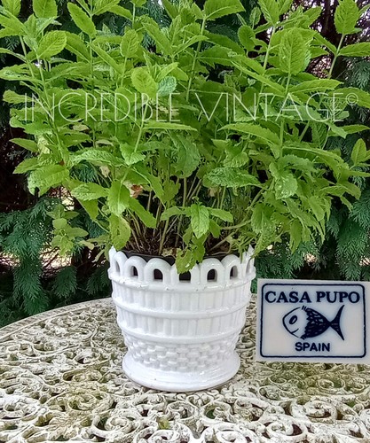 Vintage casa pupo large plant - vintage,