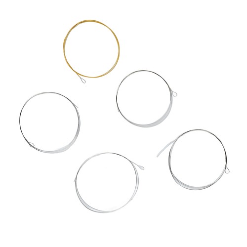 String banjo set - 5,