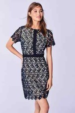 Next Navy Nude Lace Dress SIze