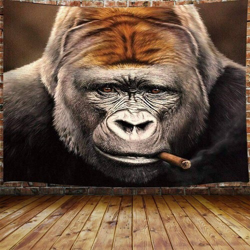 Funny gorilla wall - wall, extra