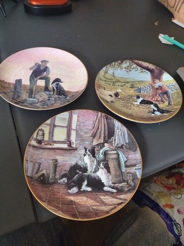 Border fine arts collector - fine,