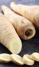10 plug plants Parsnip