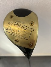 Ping Eye 2 Black Dot Driver1
