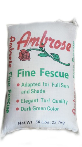 Seedranch chewing fine fescue - seedranch,