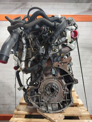 Engine ford transit - ford, 2013