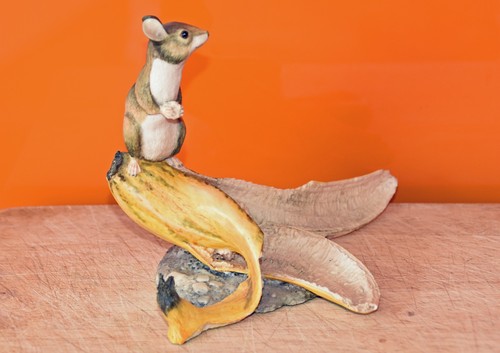 Border fine arts - arts, mouse