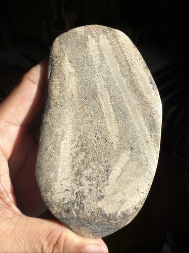 Beautiful hand polished lyme - hand,