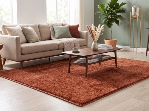 Non slip shaggy rug 12 - non,