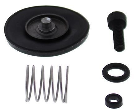 Accelerator pump rebuild kit - pump,