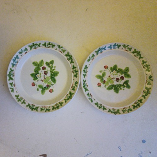 Two portmeirion summer - ,