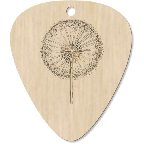 Dandelion clock guitar - x, 'dandelion