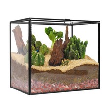 Glass Planters Terrarium with