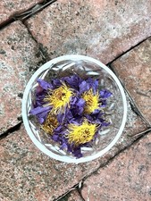 1/2 Oz(14g) Organic Blue Lotus