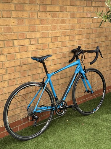 Giant contend size m - sl,