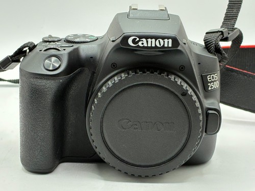 Canon eos 250d 24mp digital - 24mp,