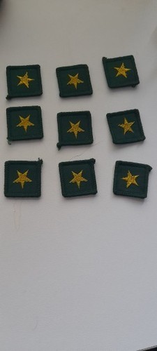 Vintage cub badge scout - cub,