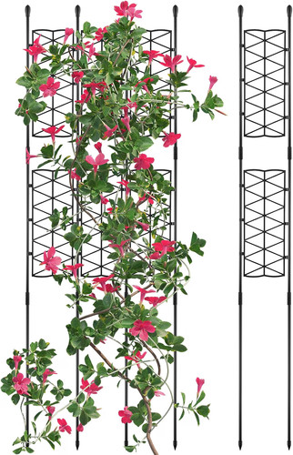 Pack inches garden - 6,