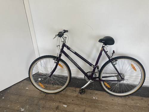 Ladies giant mountain bike - giant,