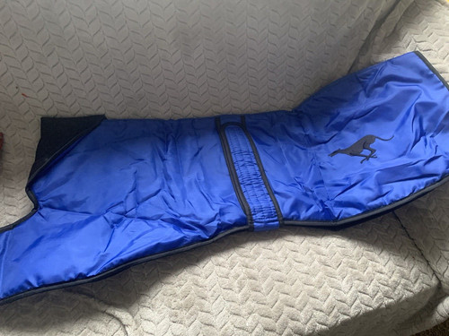 Greyhound waterproof walking - greyhound,