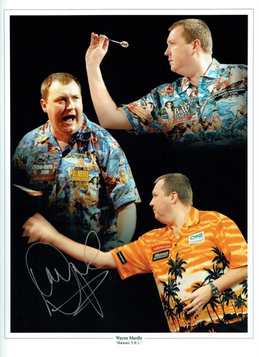 Wayne mardle hawaii - hawaii, 501