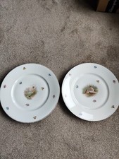 Bavarian China Decorated Plates X 2